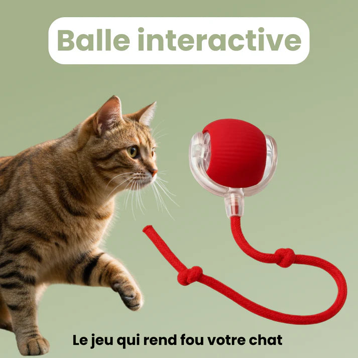 CrazyBall™ - Balle Interactive
